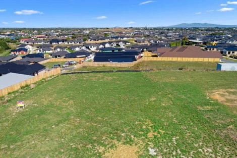 Photo of property in 41 Sylvester Crescent, Flagstaff, Hamilton, 3210