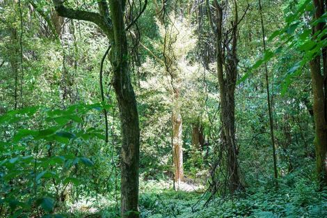 Photo of property in 28 Grant Road, Otatara, Invercargill, 9879