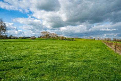 Photo of property in 99 Livingstone Road, Ngahinapouri, Hamilton, 3290