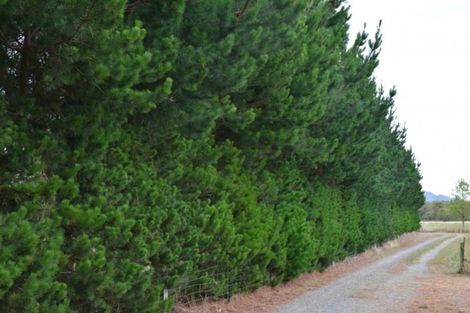 Photo of property in 216 Reserve Road, Balcairn, Amberley, 7481