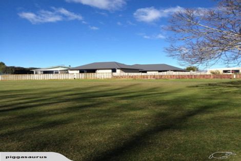 Photo of property in 17a Laurence Street, Queenwood, Hamilton, 3210