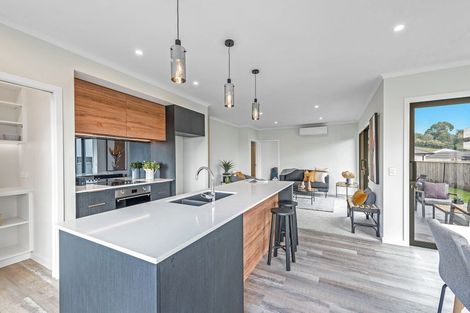 Photo of property in 11 Tiraumea Street, Richmond, 7020