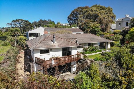 Photo of property in 38 Littlebourne Road, Roslyn, Dunedin, 9010