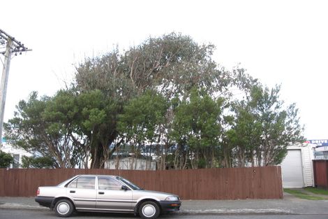 Photo of property in 14 Matene Street, Otaki, 5512