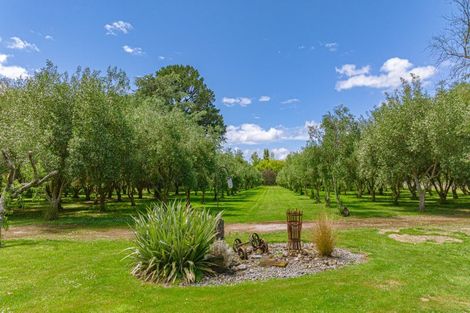 Photo of property in 274 High Street North, Carterton, 5713