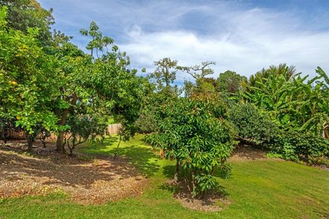 Photo of property in 1137 Matawai Road, Ormond, Gisborne, 4071