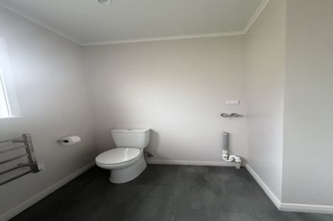 Photo of property in 24 Galway Avenue, Hamilton East, Hamilton, 3216