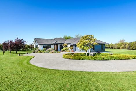 Photo of property in 5 Mallard Avenue, Feilding, 4775