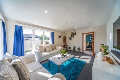 Photo of property in 16 Leicester Street, Terrace End, Palmerston North, 4410