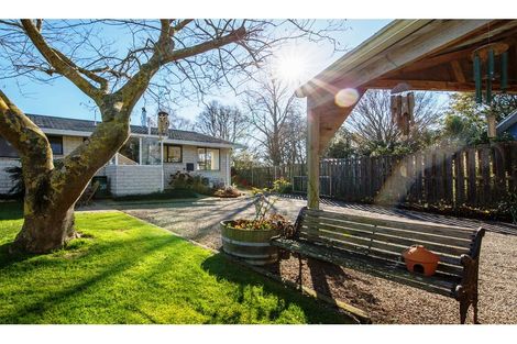 Photo of property in 16 Taiaroa Place, Southbridge, 7602