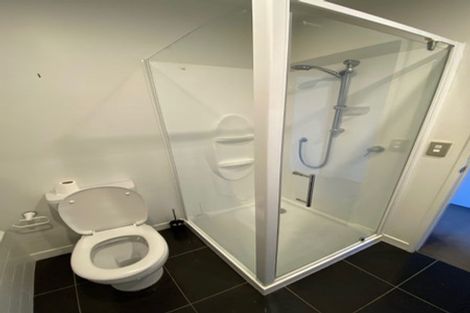 Photo of property in The Altair, 3/120 Rintoul Street, Newtown, Wellington, 6021