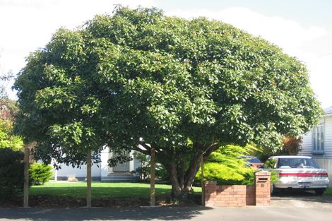 Photo of property in 81 Pine Avenue, Ebdentown, Upper Hutt, 5018