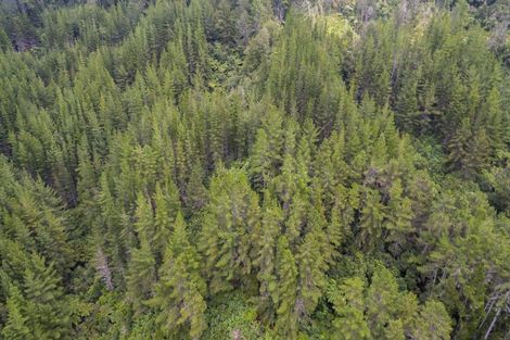 Photo of property in 144 Pinehaven Road, Pinehaven, Upper Hutt, 5019