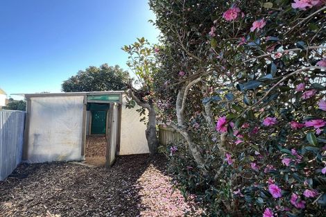 Photo of property in 28 Tuiti Street, Waitara, 4320