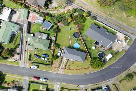 Photo of property in 95 Reservoir Street, Putaruru, 3411