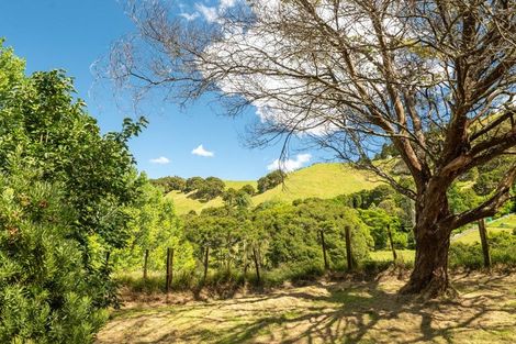 Photo of property in 49 Mangotahi Road, Thames, 3577