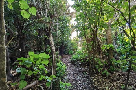 Photo of property in 4161 Coast Road, Punakaiki, 7873