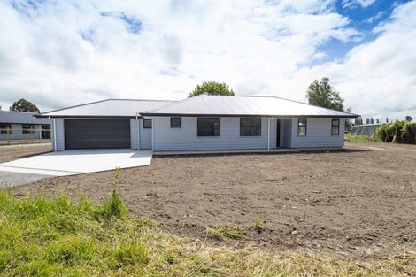 Photo of property in 20 David Street, Hinds, Ashburton, 7773