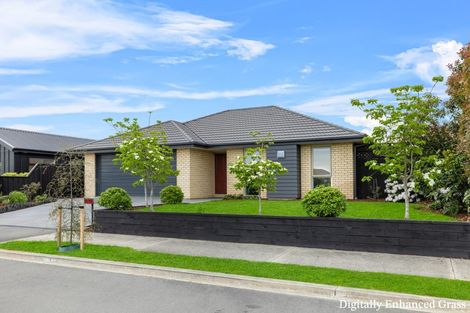 Photo of property in 9 Turvey Street, Pegasus, 7612