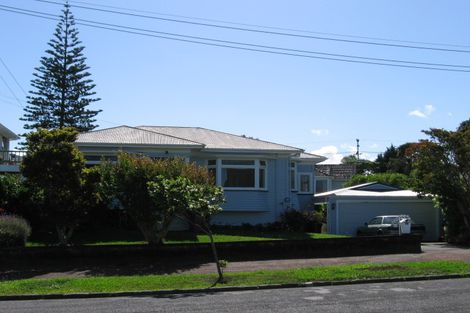 Photo of property in 14 Bungalow Avenue, Point Chevalier, Auckland, 1022
