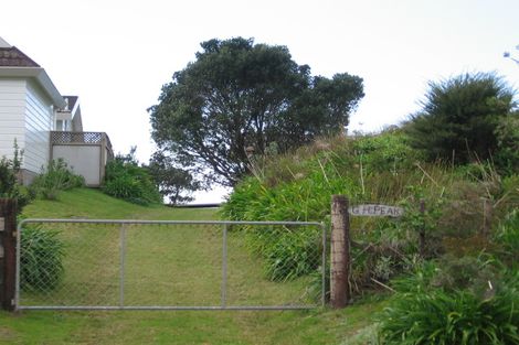 Photo of property in 224 Mangakahia Drive, Whangapoua, Coromandel, 3582