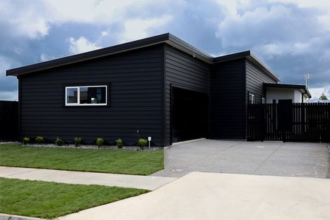 Photo of property in 24 Mangatainoka Lane, Awapuni, 4412