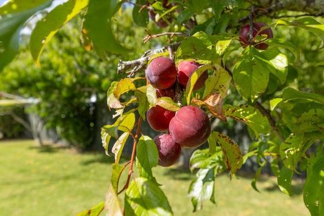 Photo of property in 17 Leather Street, Huntly, 3700