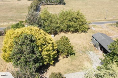 Photo of property in 255 Pharazyn Road, Feilding, 4777
