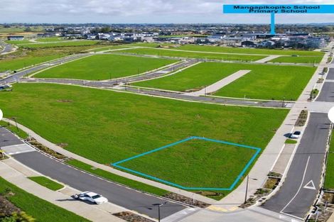 Photo of property in 61 Emerald Avenue, Rosehill, Papakura, 2113