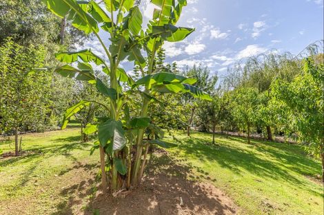 Photo of property in 146 Manakau Heights Drive, Manakau, Levin, 5573