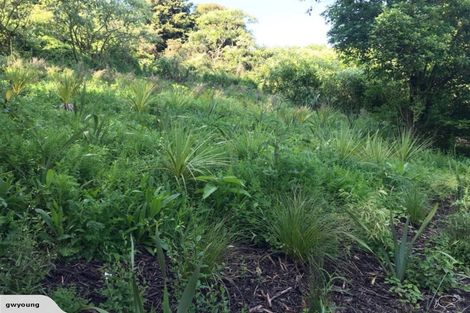 Photo of property in 89 Onetangi Road, Waiheke Island, 1971