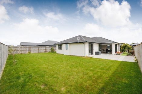 Photo of property in 62 Accolade Street, Maewa, Feilding, 4702