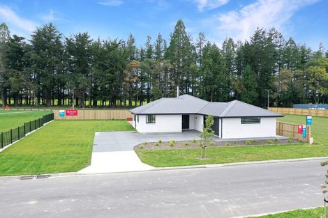 Photo of property in 36 Arrowsmith Drive, Methven, 7730
