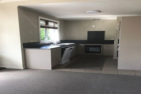 Photo of property in 23a Hinau Street, Maeroa, Hamilton, 3200