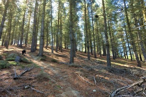 Photo of property in 65 Hillview Road, Birdlings Flat, Little River, 7591