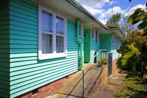 Photo of property in 16 Larnoch Road, Henderson, Auckland, 0610