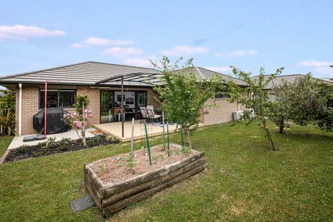 Photo of property in 16 Trauzer Place, Flagstaff, Hamilton, 3210