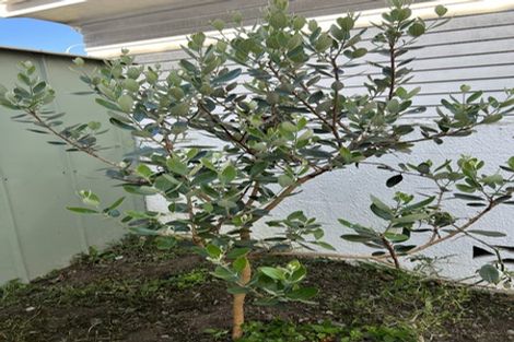 Photo of property in 38 Kings Crescent, Hutt Central, Lower Hutt, 5010