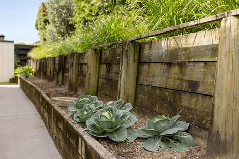 Photo of property in 5 Vista Close, Omokoroa, 3114