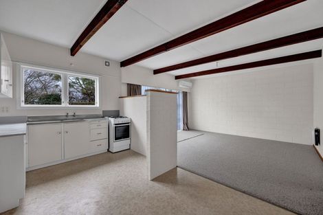 Photo of property in 43a Lismore Street, Strandon, New Plymouth, 4312