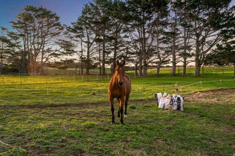 Photo of property in 296a Oaia Road, Muriwai, Waimauku, 0881