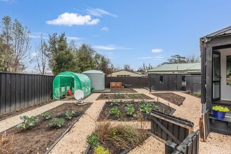 Photo of property in 17 George Street, Rotherham, 7379