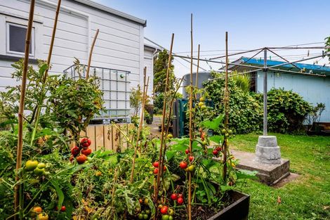 Photo of property in 45 Dives Avenue, Hawera, 4610