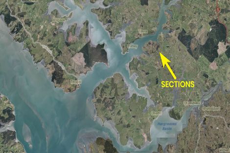 Photo of property in 90 Rangiora Road, Komata, Paeroa, 3674