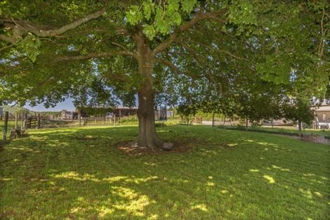 Photo of property in 172 Whatatutu Road, Te Karaka, 4094