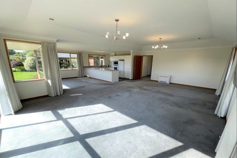 Photo of property in Willowfield Development, 20/80 Formby Street, Outram, 9019