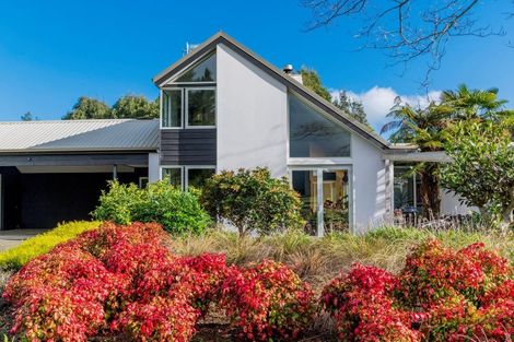 Photo of property in 43 Redwood Grove, Levin, 5571