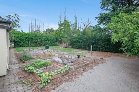 Photo of property in 261 Oxford Road, Fernside, Rangiora, 7471