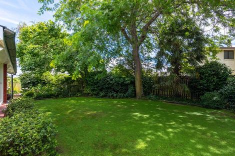 Photo of property in 56a Maxwell Road, Blenheim, 7201