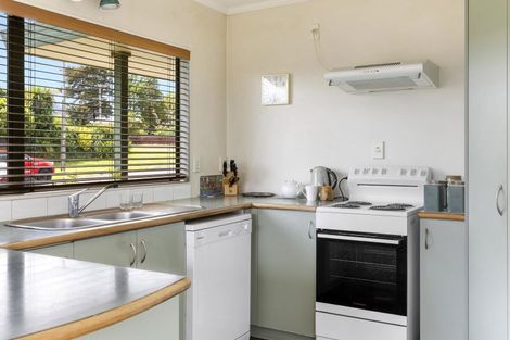 Photo of property in 47 Hinekura Avenue, Taupo, 3330